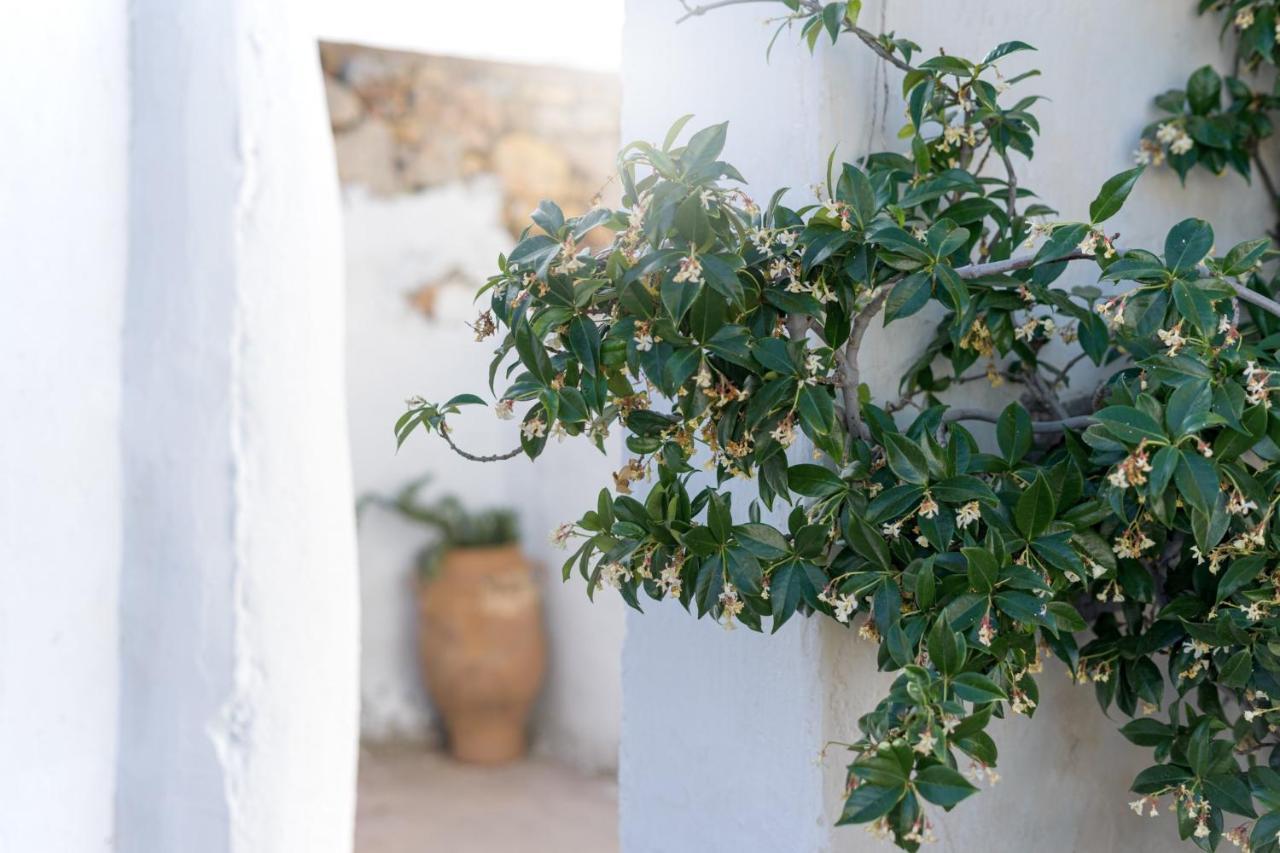 Traditional Cretan House Lithostrati Karidi Village Exterior foto