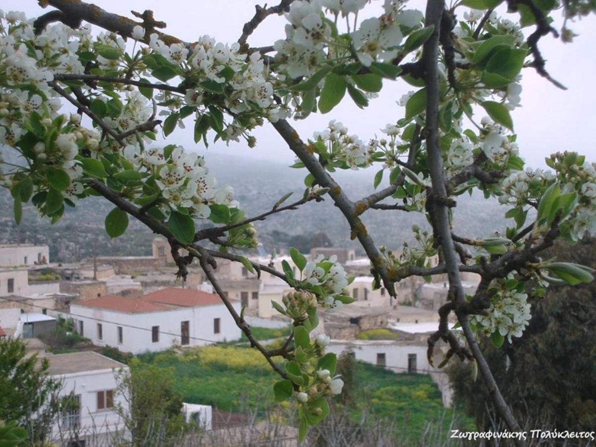 Traditional Cretan House Lithostrati Karidi Village Exterior foto